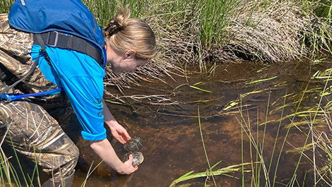 Swamped With Research | Bridgewater State University