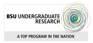 undergraduate research bridgewater state university