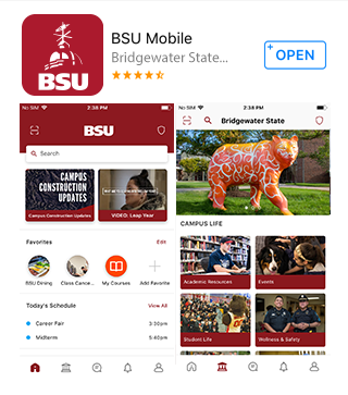 if you have a bsu email account are you a student