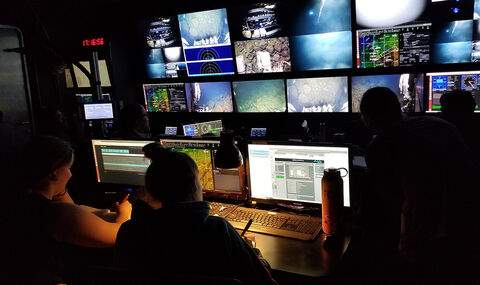 Undergraduate researchers at Woods Hole