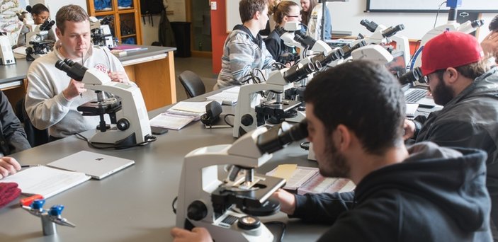 students at tables working with microscopes