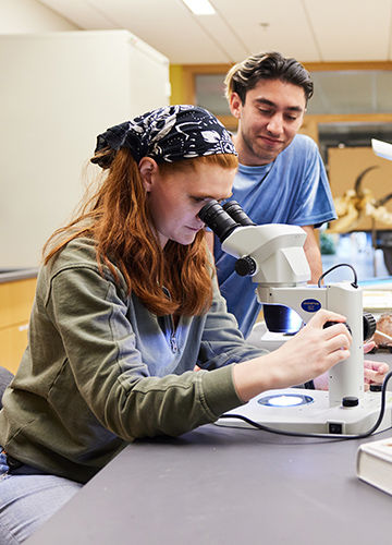 A student inspects a sample under a microscope while another looks on